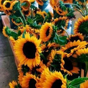 Meet your Posher, Your local